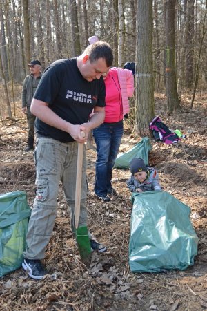Zdjęcie kolorowe. Mężczyzna wykopujący otwór pod sadzonkę drzewa, obok kilkuletnie dziecko.  Na ziemi worki koloru zielonego z sadzonkami.