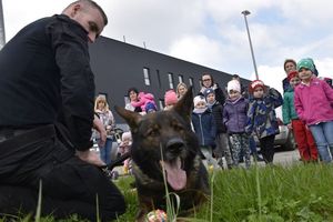 Zdjęcie nr 1, kolorowe, na nim dzieci z Przedszkola Sióstr Felicjanek podczas wizyty w Komendzie Miejskiej Policji w Kaliszu.
Zdjęcie nr 2,  kolorowe, na nim dzieci z Przedszkola Sióstr Felicjanek podczas wizyty w Komendzie Miejskiej Policji w Kaliszu.
Zdjęcie nr 3, kolorowe, na nim dzieci z Przedszkola Sióstr Felicjanek podczas wizyty w Komendzie Miejskiej Policji w Kaliszu.
Zdjęcie nr 4, kolorowe, na nim policjantka prezentująca chłopcu, jak zrobić odcisk linii papilarnych. 
Zdjęcie nr 5, kolorowe, na nim dzieci z Przedszkola Sióstr Felicjanek podczas wizyty w Komendzie Miejskiej Policji w Kaliszu.
Zdjęcie nr 6, kolorowe, na nim dzieci z Przedszkola Sióstr Felicjanek podczas wizyty w Komendzie Miejskiej Policji w Kaliszu.
Zdjęcie nr 7, kolorowe, na nim chłopiec na planszy przedstawiającej policjanta.
Zdjęcie nr 8, kolorowe, na nim dziewczynka na planszy przedstawiającej postać policjanta.
Zdjęcie nr 9, kolorowe, na nim dzieci z Przedszkola Sióstr Felicjanek podczas wizyty w Komendzie Miejskiej Policji w Kaliszu.
Zdjęcie nr 10, kolorowe, na nim przewodnik wraz z psem służbowym.
Zdjęcie nr 11, kolorowe, na nim przewodnik wraz z psem służbowym, w tle dzieci z przedszkola. 
Zdjęcie nr 12, kolorowe, na nim dzieci oglądające radiowóz policyjny. 
Zdjęcie nr 13, kolorowe, na nim dziewczynka siedząca w radiowozie policyjnym.
Zdjęcie nr 14, kolorowe, na nim dziewczynka siedząca w radiowozie policyjnym.
Zdjęcie nr 15,kolorowe, na nim dzieci podczas wizyty w jednostce na tle radiowozu.