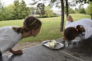 zdjęcie kolorowe, uczestnicy podczas wykonywania zadań w Biegu Urwisa