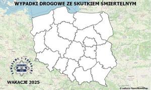 zdjęcie kolorowe, na zdjęciu mapa Polski