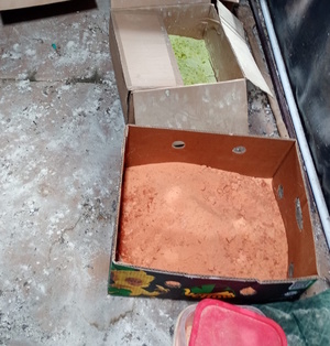 Zdjęcie kolorowe. Dwa kartony z zawartością sproszkowanych substancji - w jednym koloru zielonego w drugim koloru pomarańczowego. U dołu ekranu widać fragment otwartego plastikowego pojemnika z zawartością sproszkowanej substancji.