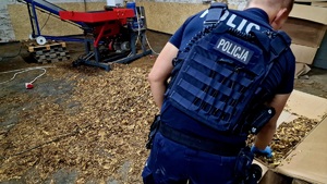 Zdjęcie kolorowe. Policjant w umundurowaniu ćwiczebnym,  stojący tyłem. Policjant pochyla się nad kartonem w którym znajdują się wysuszone liście tytoniu. Z lewej strony w tle silnik od maszyny która tnie i suszy liście tytoniu.