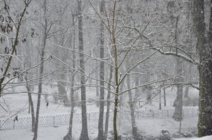 Zdjęcie kolorowe. Fragment parku z drzewami w zimowej, śnieżnej aurze.