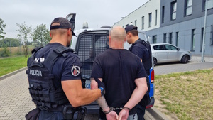 Zdjęcie kolorowe. Policjant stojąc z tyłu radiowozu przytrzymuje zatrzymanego za lewe ramie. Tylne drzwi pojazdu są otwarte. Drugi policjant otwiera dodatkowe drzwi zamontowane z tyłu pojazdu w miejscu służącym do przewozu osób zatrzymanych.