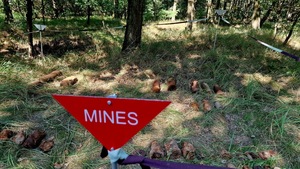 Zdjęcie kolorowe. Na pierwszym planie tabliczka z napisem MINES. W oddali widać położone na ziemi w lesie niewybuchy z okresu drugiej wojny światowej.